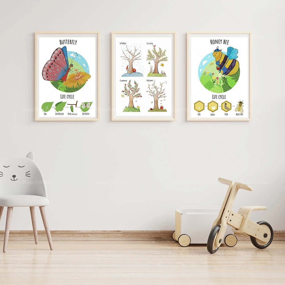 

Life Cycle of Bees and Butterflies - Educational Wall Art, Nursery Wall Decor Canvas Print Poster