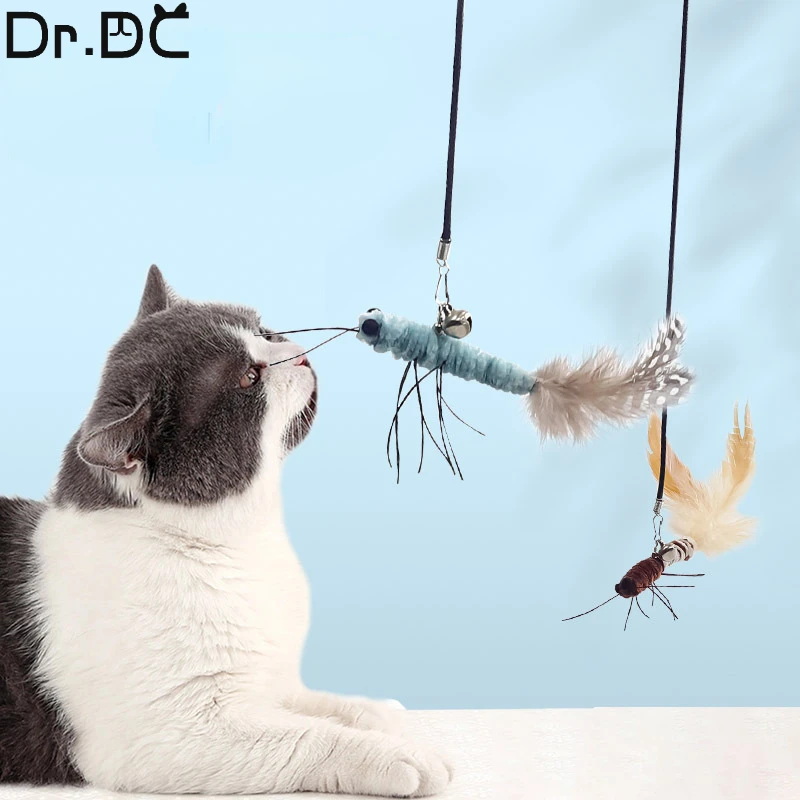 Dragonfly Feather Cat Teaser 3