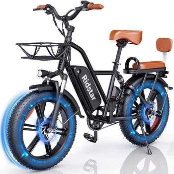 48V Fat Tire Electric Bike 1