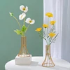 Nordic Iron Golden Hydroponic Vase Decoration Living Room Table Top Decoration Dried Flower Green Dill Plant Container Vase 1