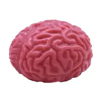 TPR Fidget Toy Brain Squishy Squeeze Toy Anti Stress Flippy Cool Stuff Kids Anxious Relief Toy for Kids Adult 1