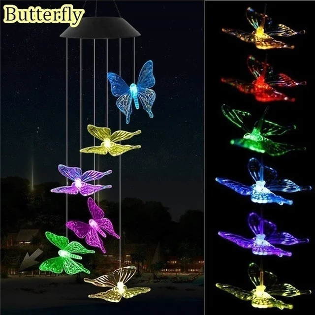butterfly