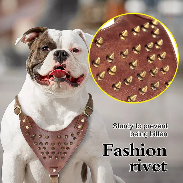 Custom Leather Dog Harness Spiked Studded Dog Harness Vest Personalized ID  Leather Harness for Medium Large Dogs Pitbull Bulldog (Medium, Black)