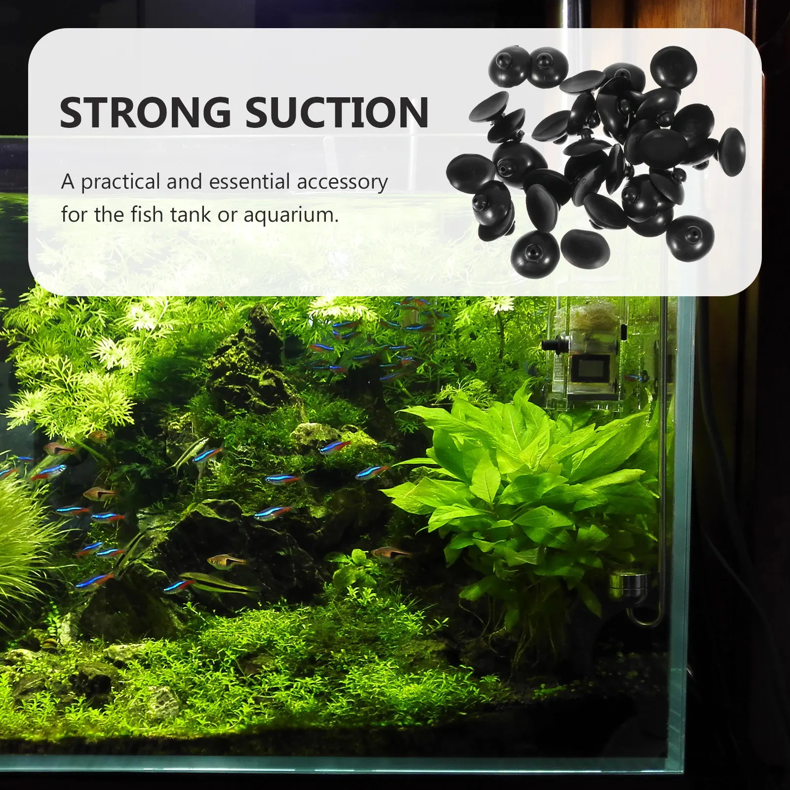 100개 어항 수조 흡착판 플라스틱 펌프 홀더 흡착기 물 고정기 수중 펌프 액세서리 교체품