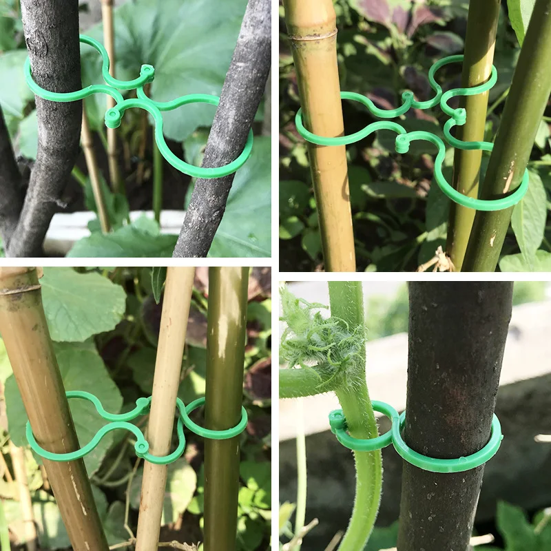 

50pcs 8 Word Buckle Vine Tying Clips Ring Fixing Bracket Garden Plant Holder Tools Garden Decorations