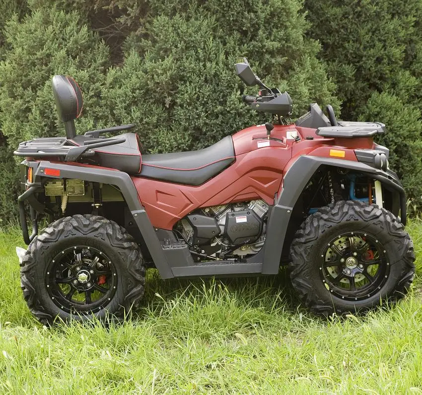 Рисунок 3 - Мотовездеход 800 куб. См