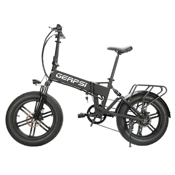 Folding Electric Bike 1
