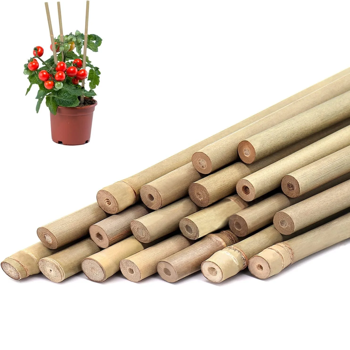 Plant stakes plant support stick 10pcs Bamboo Plant Stakes For Outdoor and Indoor Bamboo Sticks Garden Support Stakes Bamboo Poles Trellis for Tomato Vegetables