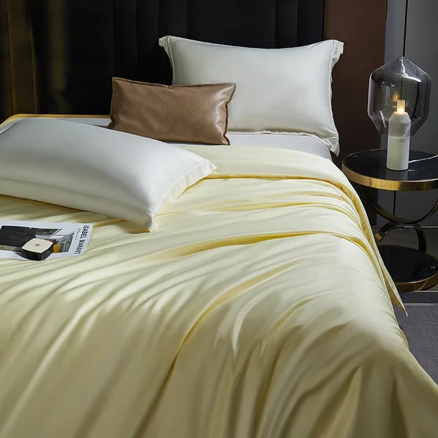 Couette d'été en soie 2025, très appréciée, remplissage en soie de mûrier, doux et respectueux de la peau, pleine taille, style moderne, récipient 4