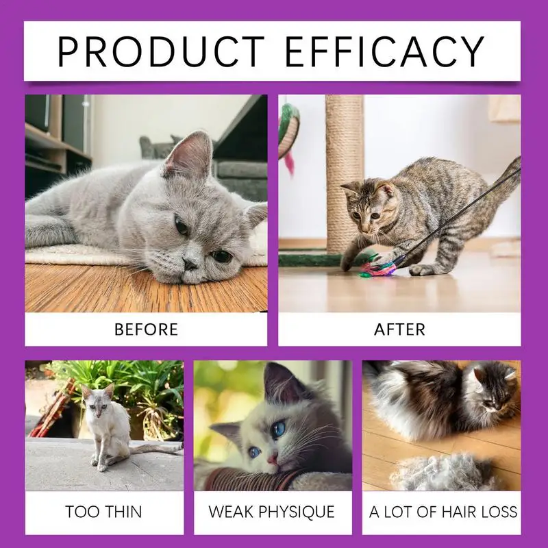 Cat Body Care Dropss For Indoor Cats All-in-1 Multi Liquid Body Care Drops Daily Supplement 60ml Drops For Supports