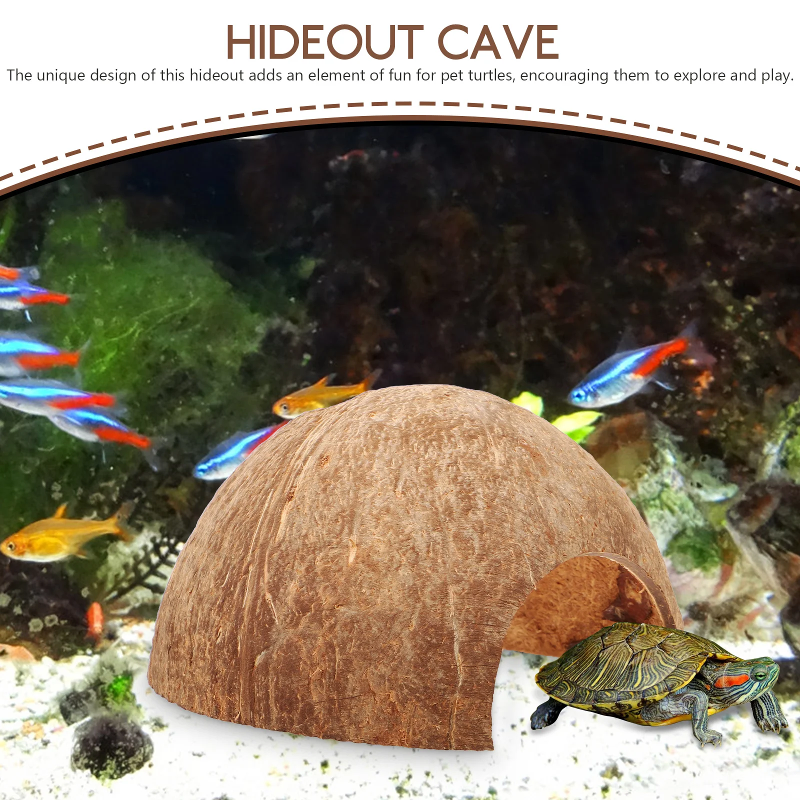 Coconut Hideout House Reptile Terrariums Tarantula Enclosure