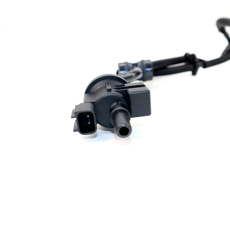 Valvola Di Spurgo Del Contenore Del Vapore Combustibile Per Ford - 12