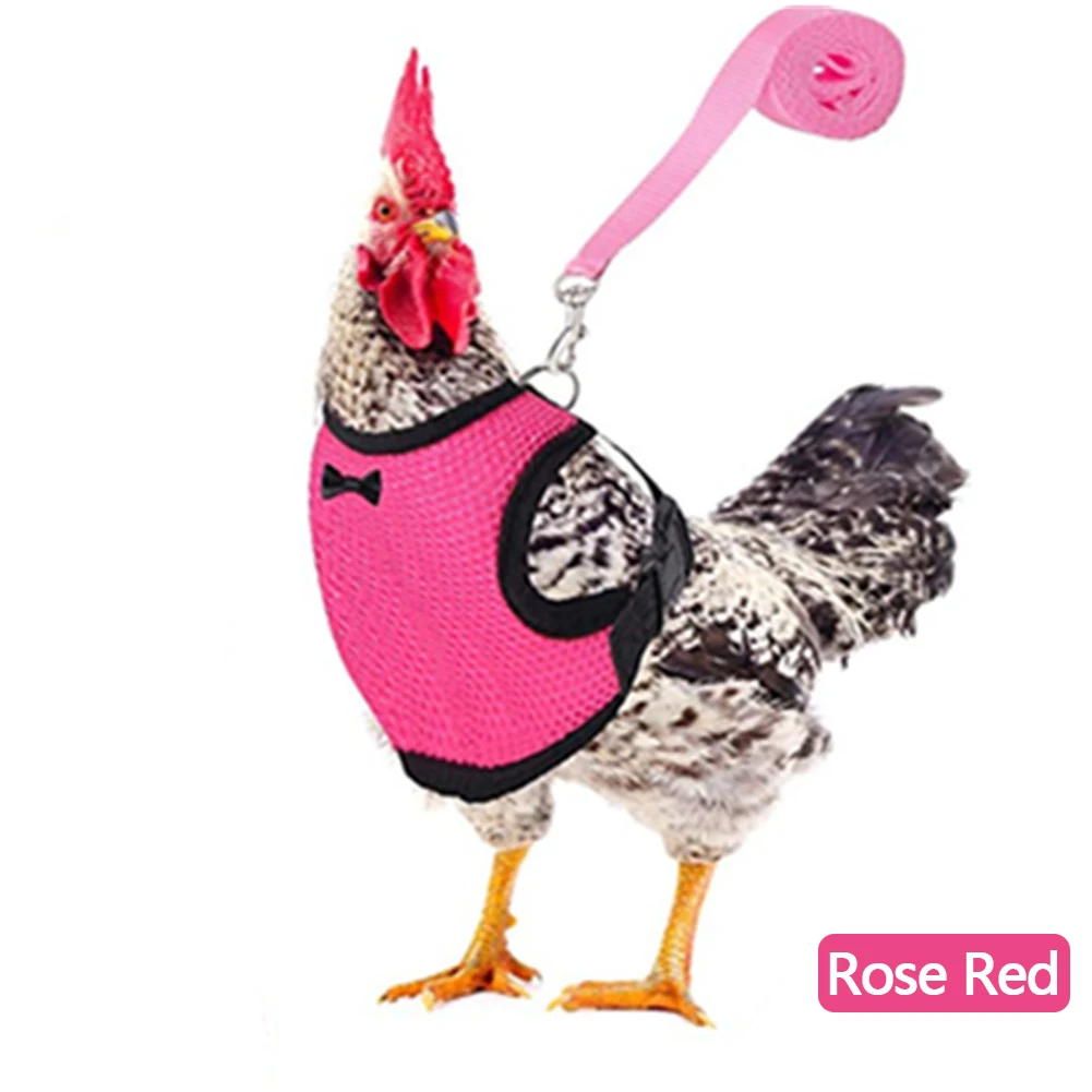 Rose Red