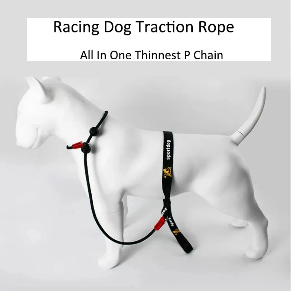 Training Dog Choking Rope Leash 2 in 1 Lead Collar 150cm P-Shaped Chain Slip Lead Control Leash for Small Large Competition Dogs 2