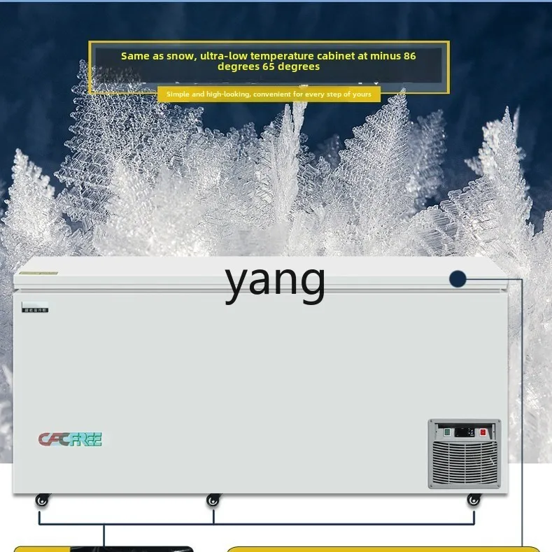 LMM minus 45 degrees 60 degrees 80 tuna seafood commercial laboratory quick-freezing freezer