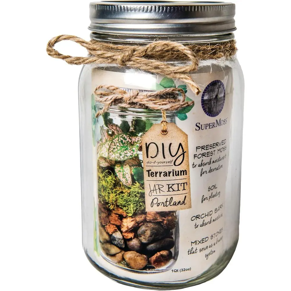 DIY Mason Jar Terrarium 1