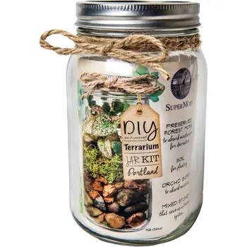 DIY Mason Jar Terrarium 1