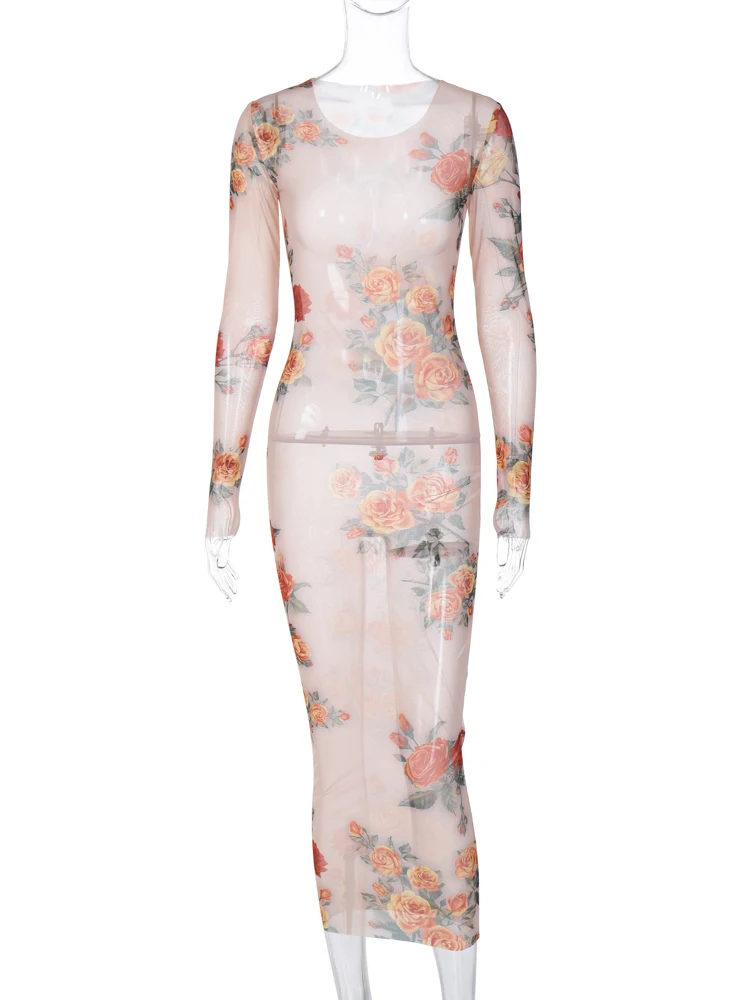 Hugcitar Mesh Floral Print Long Sleeve Sexy See Through Slim Maxi Dress Summer Women Fashion Y2K Beach Vacation Rave Outfit 6