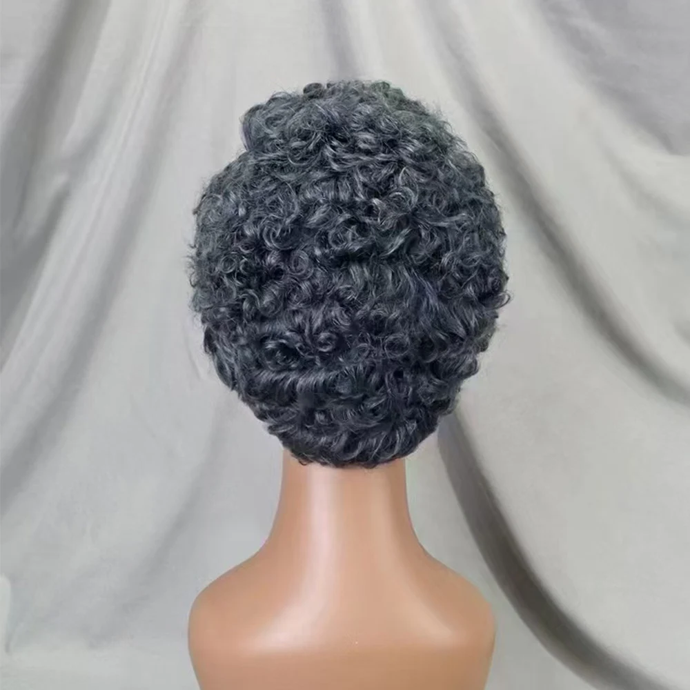 13x4 Lace Frontal Short Pixie Cut Curly Wave Gray Color Human Hair Wigs 180% Density Human Hair Wig for Black Women