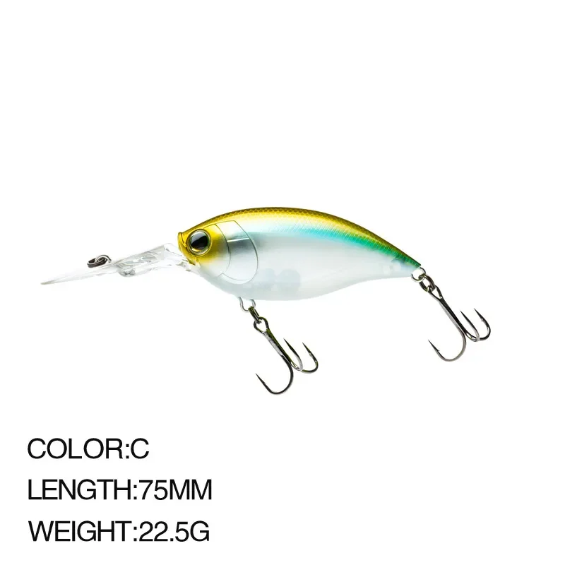2Pcs Color C