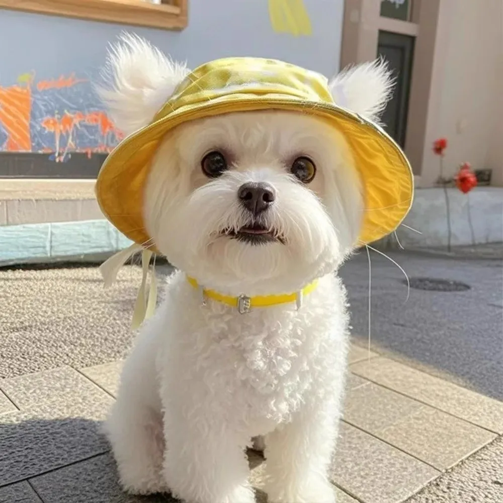 여름용 캣썬햇 면 소재 고양이 햇빛 가리개 모자 S/M/L 사이즈 둥근 챙 귀 구멍 있는 고양이 버킷햇 야외 자외선 차단 애완동물 모자 여행용