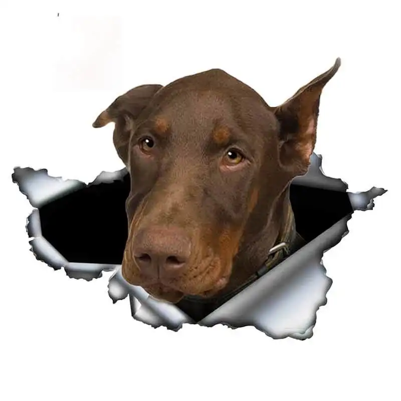 

V18# 13X10CM Car Sticker Pinscher Waterproof Vinyl Decal Car Accessories Pegatinas Para Coche DIY Car Styling