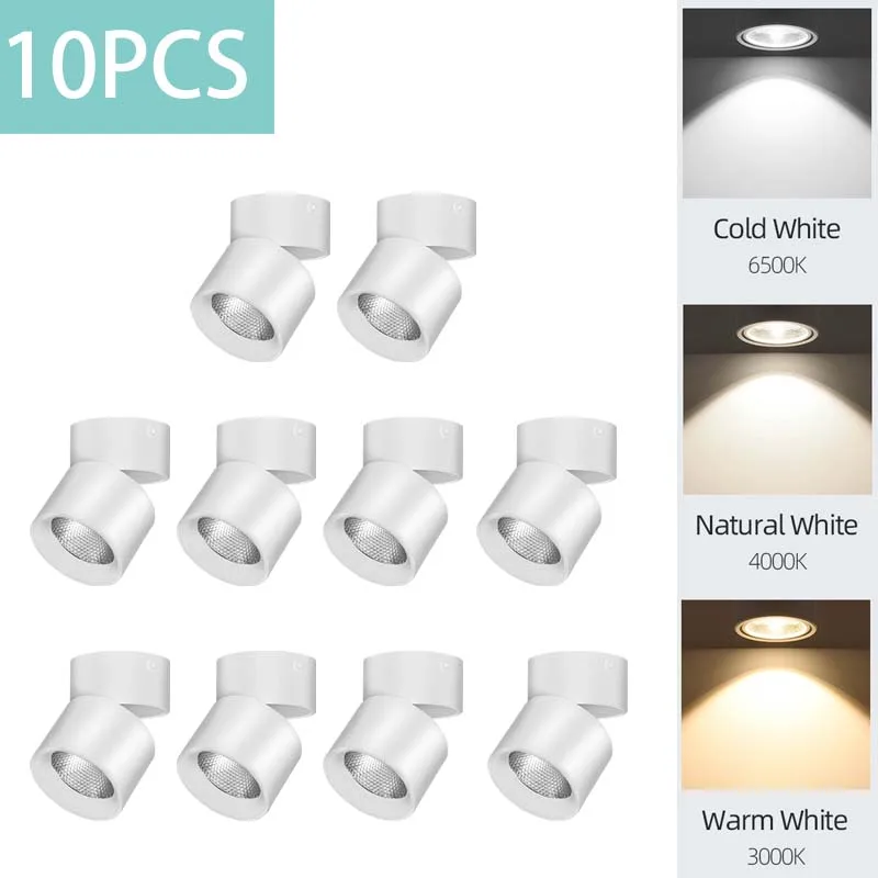 10pcs white body