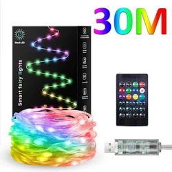 Music Sync RGB Waterproof LED Fairy Lights - DIY Programmable Color Changing Party Lights - USB Type - C (A style - 30M)