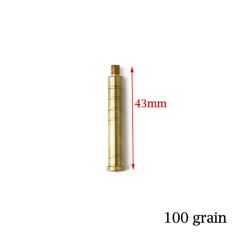 weight insert 100gn