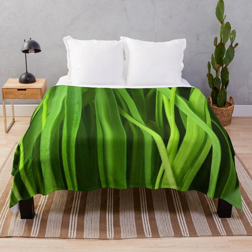 

sunbeam heated Throw Blanket Soft Bed Blankets blankets for winter Stuffed Blankets Dorm Room Essentials