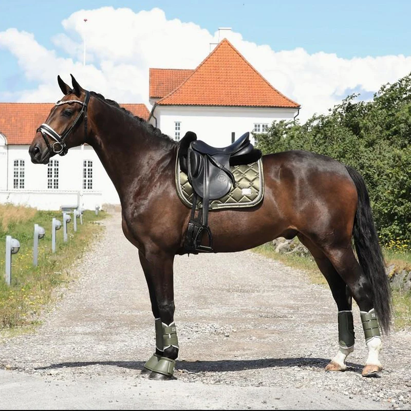 Professional Equestrian Equipment For Competition Earmuffs Olive Green Dressage Dance Step Horse Sweat Pad Set Leg Protectors
