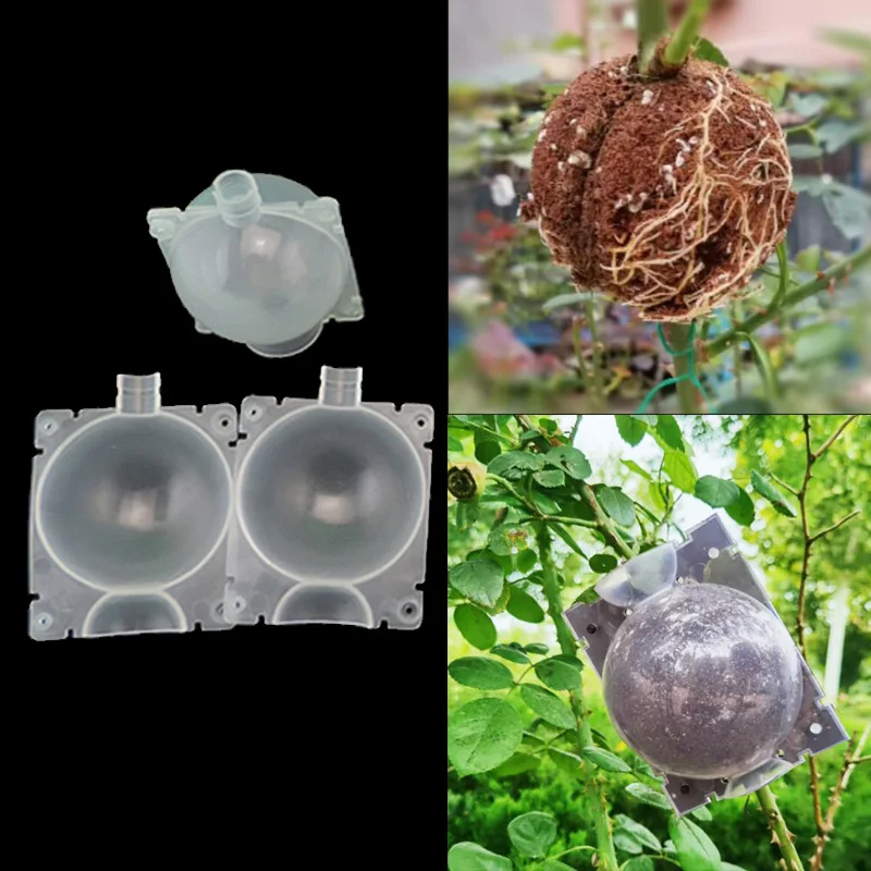 Plant Rooting Box Plant Rooting Pot 1pcs 10pcs 5cm Plant Rooting Ball Nursery Root
