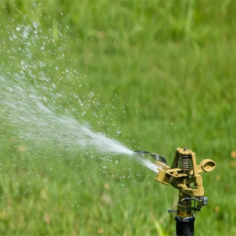 1/2 &�ƿ� �ձ� ����Ʈ ������Ŭ�� ��� 19.5cm ������ũ �޼� ���� ���� ȣ�� ���� ������Ŭ�� ���� ���� ����