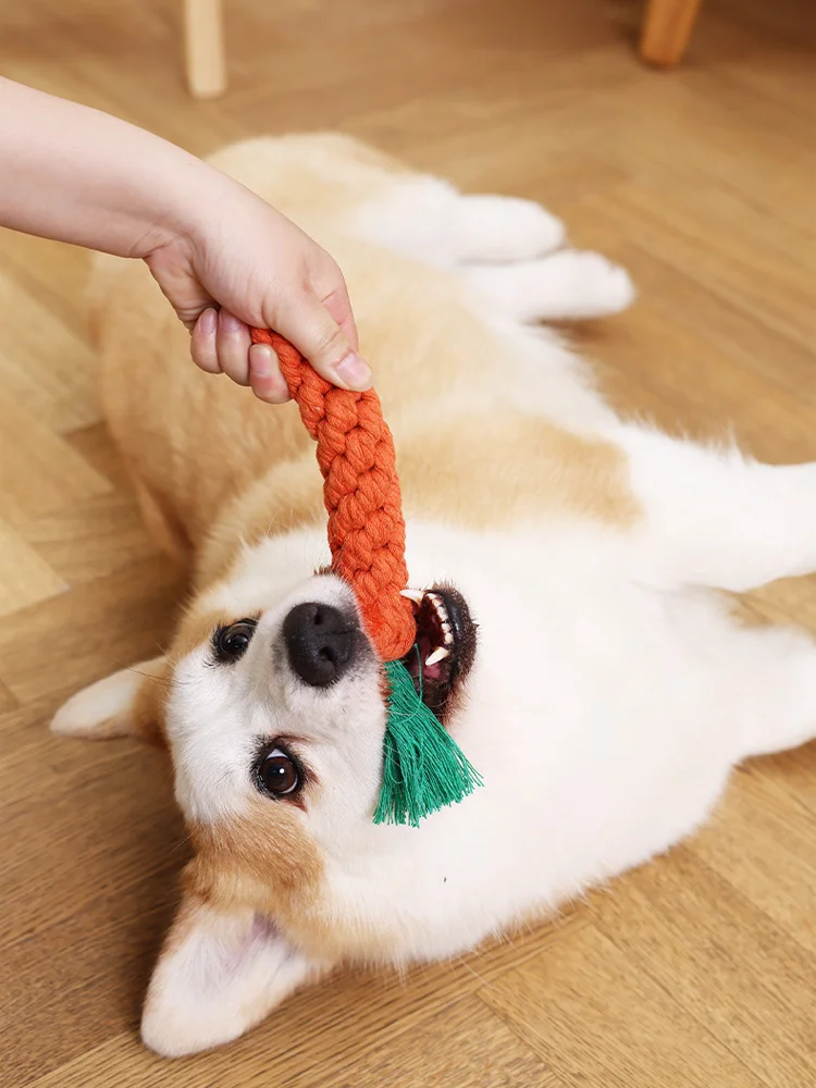 Carrot Cotton Rope Dog Toy 5