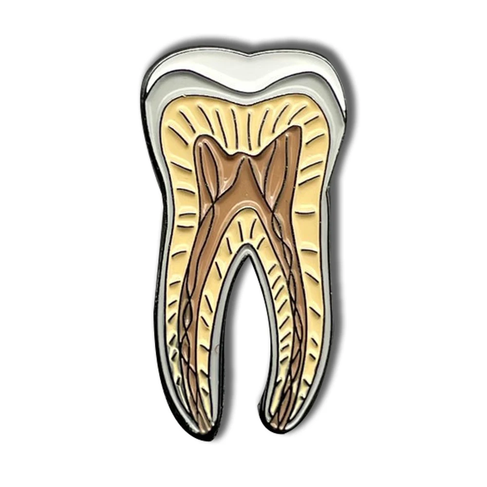 

20 pcs Tooth Enamel Pin Tooth Anatomy Lapel Dentist Dental Nurse gift Medical Gift Bulk
