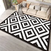 Modern Simple Black White Large Size Rugs for Living Room Light Luxury Sofa Area Carpet Soft Fluffy Bedroom Decor Anti-slip Mats 2