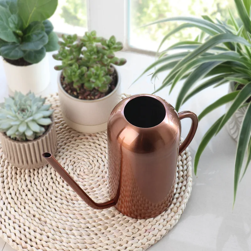 Stainless Steel Watering Pot Gardening Potted Small Watering Can Use Handle Perfect For Flower Plants Shower For Garden