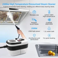 Nettoyeur vapeur portatif multifonction 2500W, outil de nettoyage à la vapeur haute température pour le nettoyage en profondeur de la cuisine 4