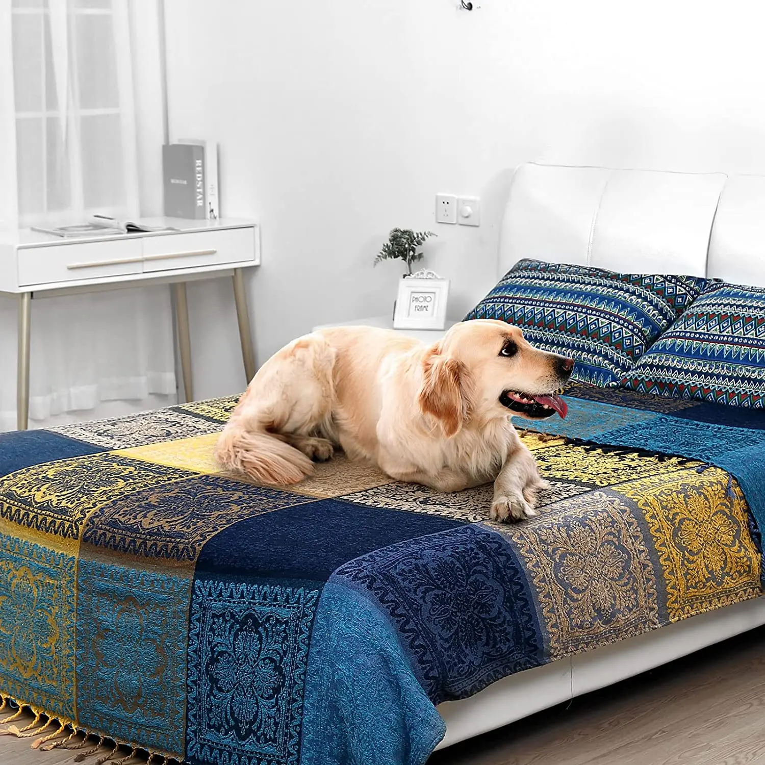 ���� ħ�� Ŀ���� ���õ� ����̾� ���� ���� ���, �� ���, �ٸ��� ��ȣ ħ�뺸 ���� Ŀ��, �߿� ��ũ�� ���