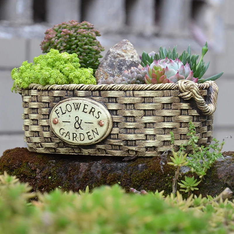 

American rattan-proof cement succulent plant flowerpots creative succulent succulent flowerpots succulent ceramic