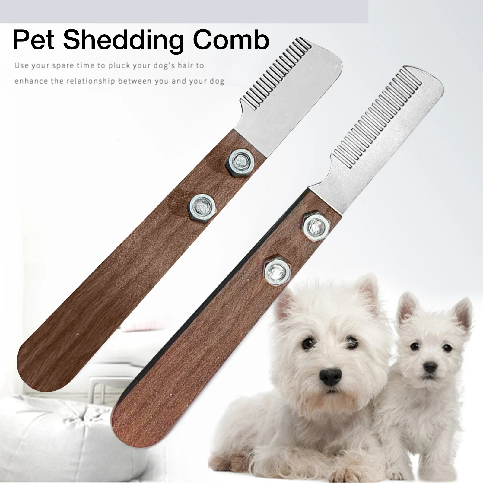 Why Do Groomers Shave Dogs