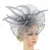 Top Grade Women Big Flower Fascinator Hair Clip Feathers Top Hat Wedding Royal Ascot Race Accessories Headbands for Women 13