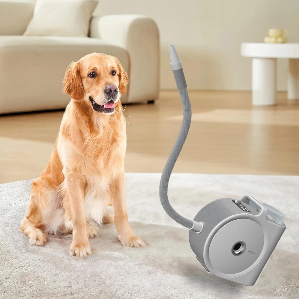 

Dog Grooming Cat Fast Hair Dryer Adjustable Wind Speed High Velocity Air Forced Dryer Pet Hair Dryer Blower For Dogs