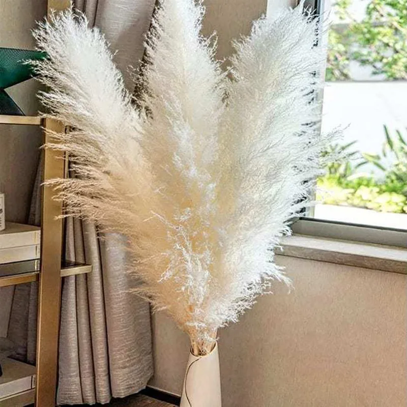 80Cm Large Pampas Grass Flowers Bouquet Fluffy Dried Floral Decoration - 5Pcs