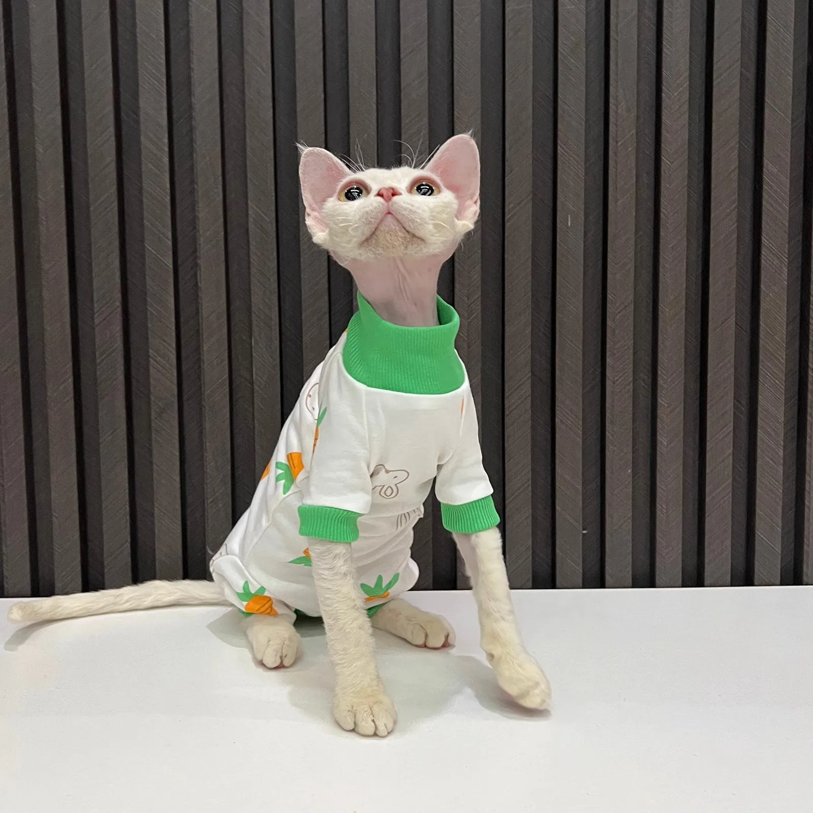 Description Picture 6 of itemSpring Autumn Cat Clothes for Cats Cherry Print Sphynx Hairless Cat Jumpsuit Turtleneck Full Coverage Kitten Cat Pajamas Onesies