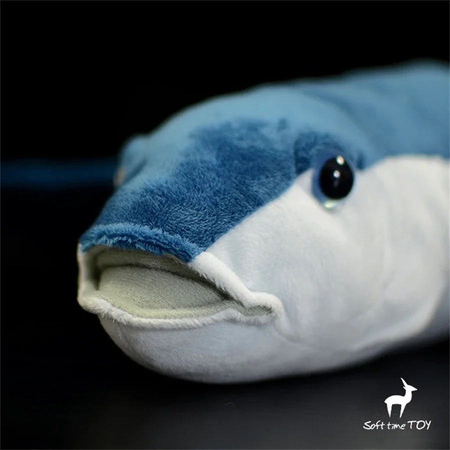Flying Fish High Fidelity Anime Cute Plushie Volador Plush Toys Lifelike Animals Simulation Stuffed Doll Kawai Toy Gifts For Kid 4