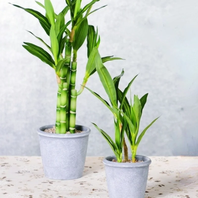 ArtificialPlants 45cmRich Limited Special Price Bamboo Small Potted latest Home Living Plants