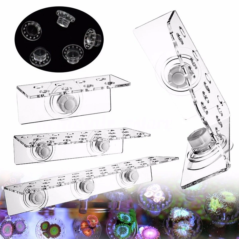 Coral Frag Rack SPS Acrylic Marine Aquarium Reef With Plugs Magnetic Mount Tool Designed Holder Marine Reef Accessories Part