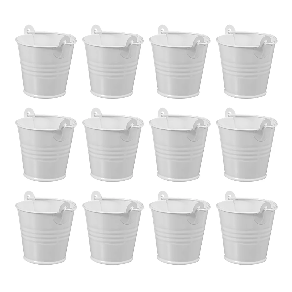 

12 Pcs Small Iron Bucket Metal Mini Flower Pot Pots for Home Multifunction Succulents