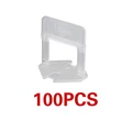 100pcs clips
